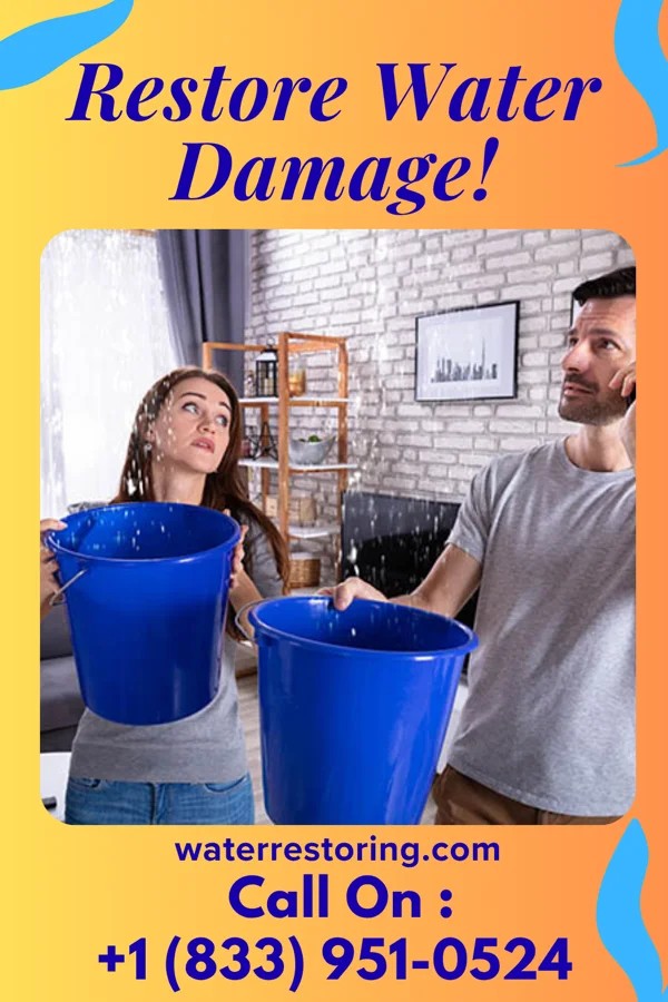 water restoration Expert Water Cleanup Inc Northfield