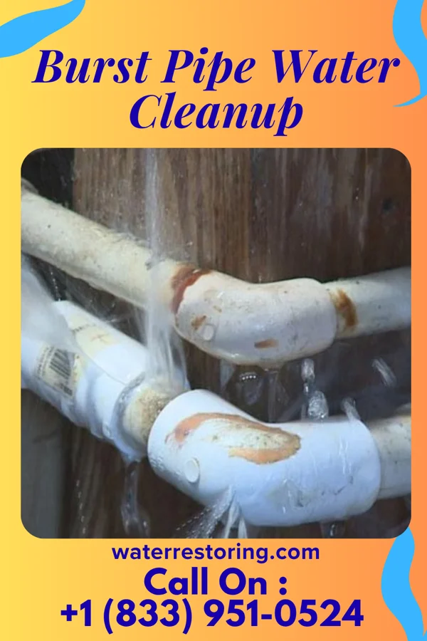 Burst Pipe Water Cleanup in Northfield, OH